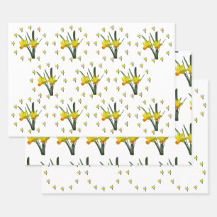 Hoja De Papel De Regalo Juego de ajuste de regalo - Flores de Daffodil X 3