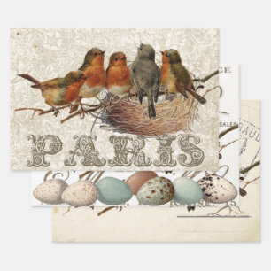 Hoja De Papel De Regalo Juego de marcas de posters de huevo estilo de escr