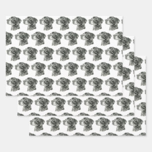 Hoja De Papel De Regalo Laboratorio negro