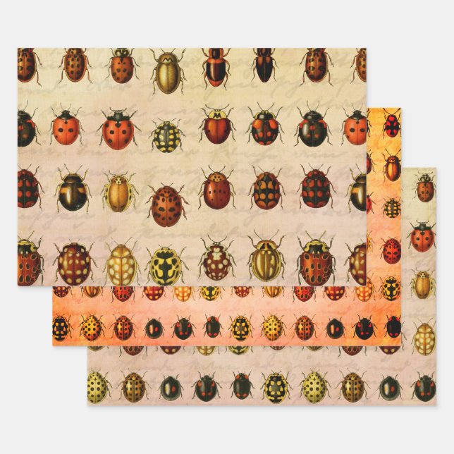 Hoja De Papel De Regalo Ladybug Ladybird Beetle Insect Bug (Set)