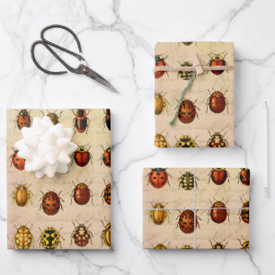 Hoja De Papel De Regalo Ladybug Ladybird Beetle Insect Bug