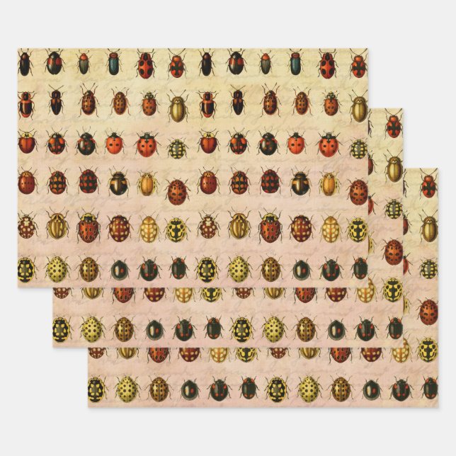 Hoja De Papel De Regalo Ladybug Ladybird Beetle Insect Bug (Set)