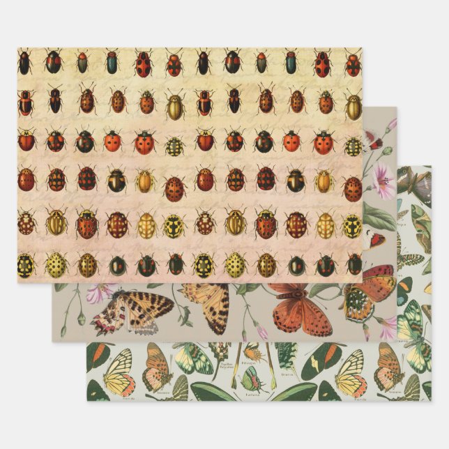 Hoja De Papel De Regalo Ladybug Ladybird Beetle Insect Bug (Set)
