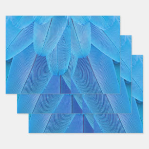 Hoja De Papel De Regalo Las plumas azules verde azuladas del loro de Macao