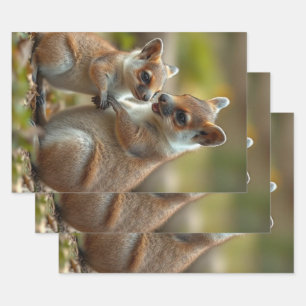 Hoja De Papel De Regalo Lecciones De Vida De Mama Y Bebe Quokka,
