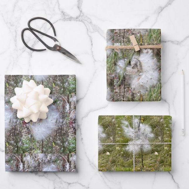 Hoja De Papel De Regalo Lechugas, semillas y seda | Natural (Anverso)