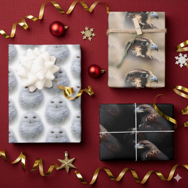 Hoja De Papel De Regalo Lechuza nevada / Halcón peregrino / Águilas dorada (Owls, Falcons, and Eagles Giftwrap Assortment Cover Photo)