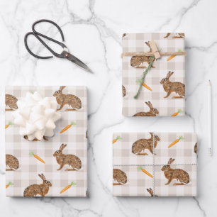 Hoja De Papel De Regalo Liebre de primavera rústica y patrón beige de zana