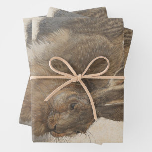 Hoja De Papel De Regalo Liebre joven de Albrecht Durer, Arte Fino del Rena