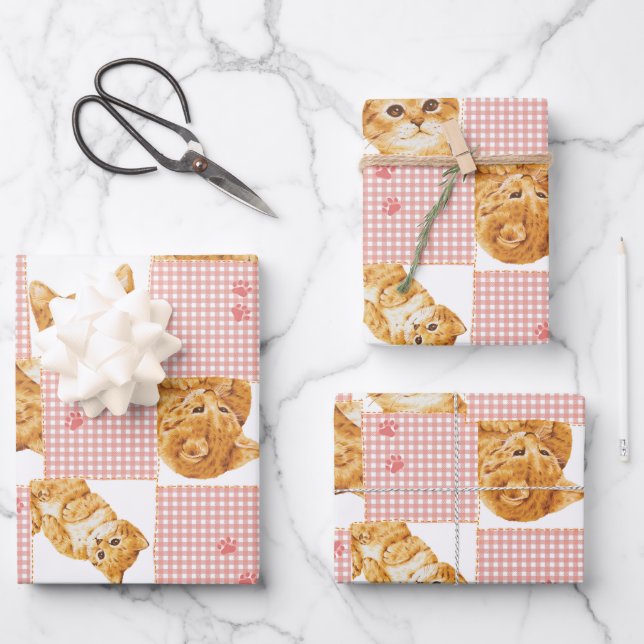 Hoja De Papel De Regalo lindo naranja tabato gato enredadera patchwork col (Anverso)