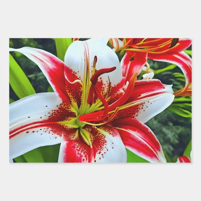 Hoja De Papel De Regalo Lirios rojos y blancos vibrantes (Anverso)