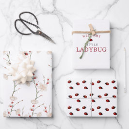 Hoja De Papel De Regalo Little Ladybug Pattern Boho