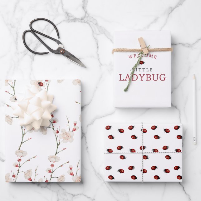 Hoja De Papel De Regalo Little Ladybug Pattern Boho (Anverso)