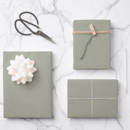 Hoja De Papel De Regalo Llanura sólida verde sabia moderna