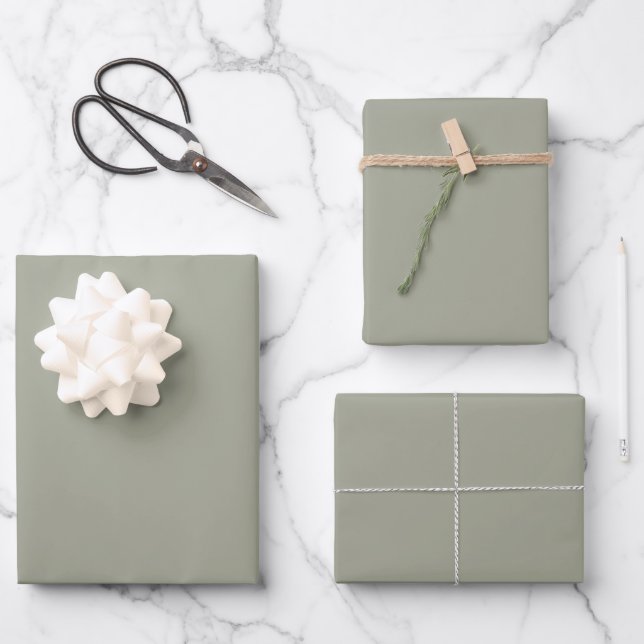 Hoja De Papel De Regalo Llanura sólida verde sabia moderna (Anverso)