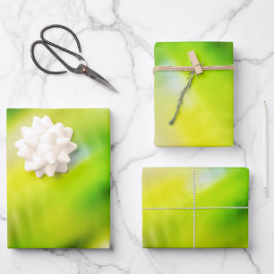 Hoja De Papel De Regalo Luz de manantiales