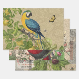 Hoja De Papel De Regalo Macaw Blue Yellow Tropical Jungle Antigüedad
