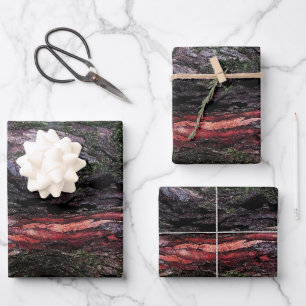 Hoja De Papel De Regalo Madera musgosa de árbol negro rojo corteza