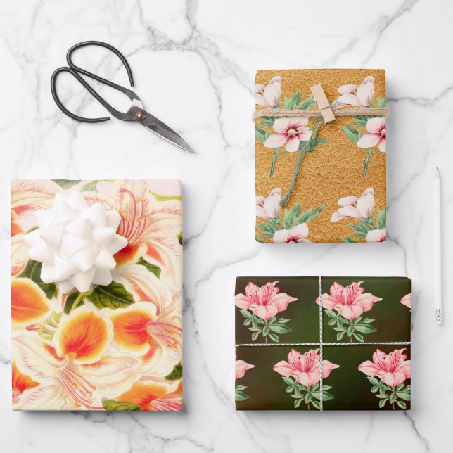 Hoja De Papel De Regalo Magnífica azalea, naranja floral (Anverso)
