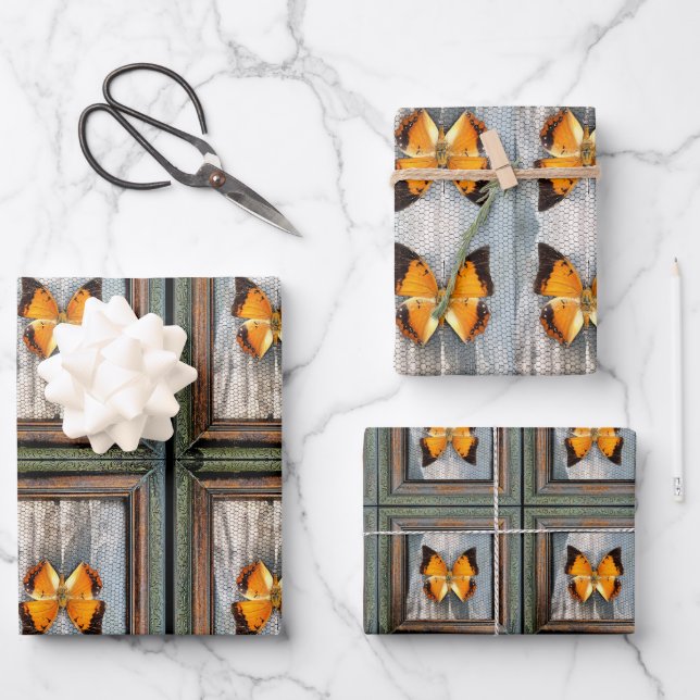 Hoja De Papel De Regalo Magnífica mariposa V2 de charcutería bordeada por  (Anverso)