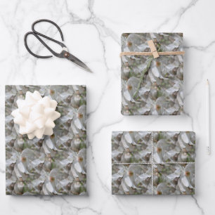 Hoja De Papel De Regalo Magnolia blanca Flores Naturaleza de las flores