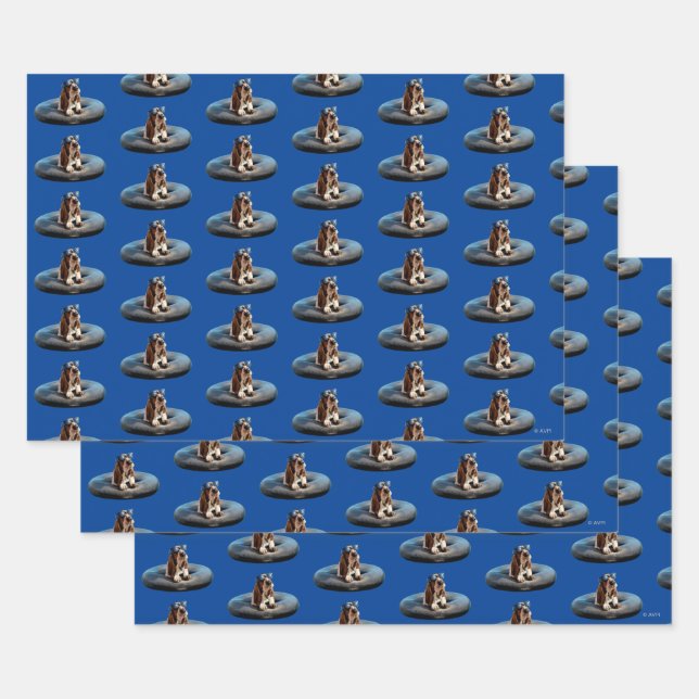 Hoja De Papel De Regalo Mano De Umbral En Los Lentes De Sol (Set)