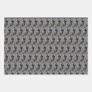 Hoja De Papel De Regalo Mapache Travieso