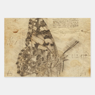 Hoja De Papel De Regalo Mariposa vintage   Estilo Rústico   Decoración