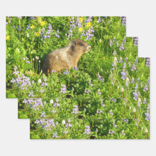 Hoja De Papel De Regalo Marmot en Mont Rainier Wildflowers