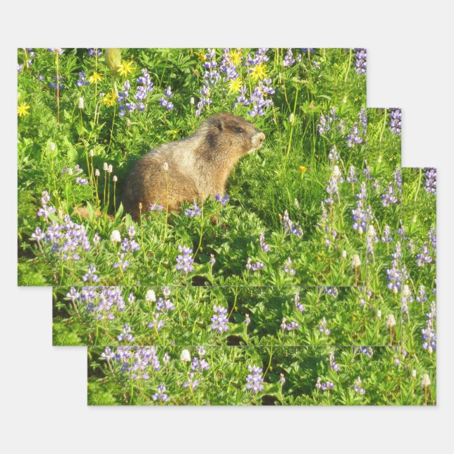Hoja De Papel De Regalo Marmot en Mont Rainier Wildflowers (Set)