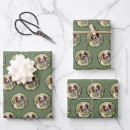 Hoja De Papel De Regalo Mascota de fotografía personalizado