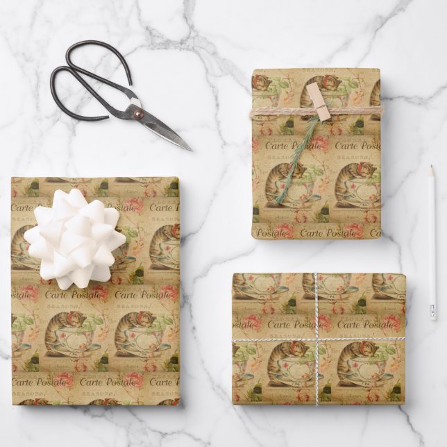 Hoja De Papel De Regalo Mascota de gatito de época elegante kitten retro (Anverso)