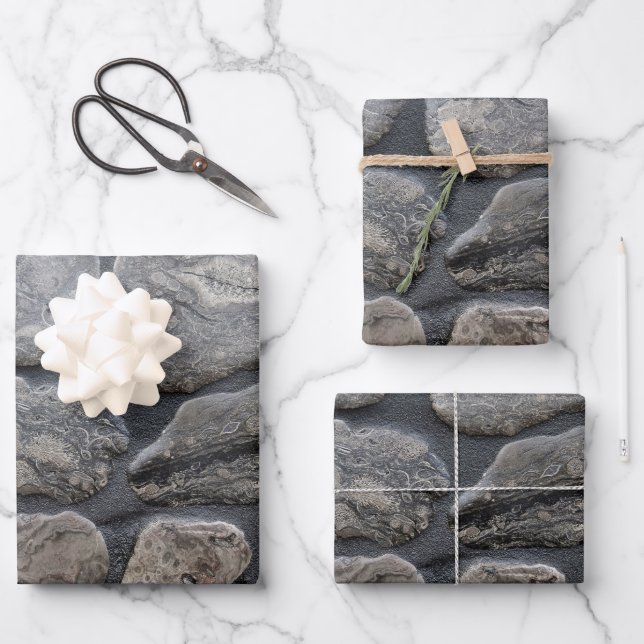 Hoja De Papel De Regalo Michigan Petoskey Stones (Anverso)