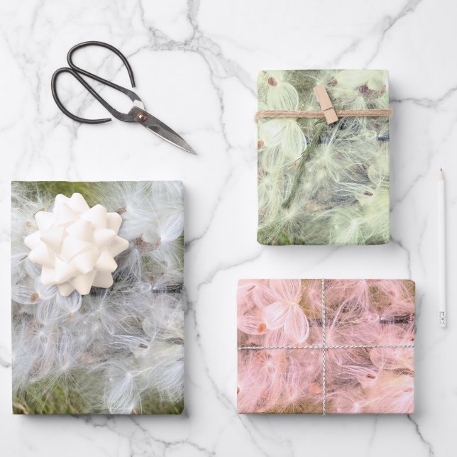 Hoja De Papel De Regalo Milkweed | Mariposa | (Anverso)