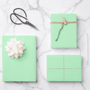 Hoja De Papel De Regalo Minimalista color verde claro sólido moderno