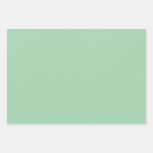 Hoja De Papel De Regalo Mint Green sólido