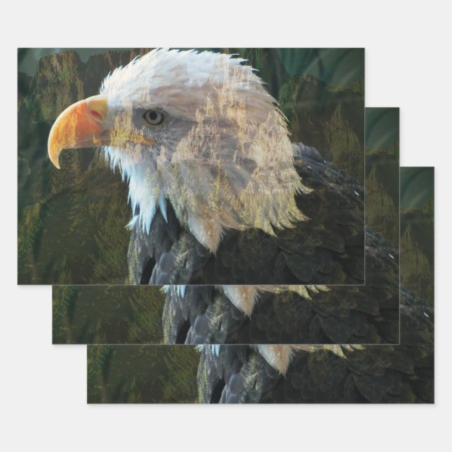 Hoja De Papel De Regalo Montaña del águila calva (Set)