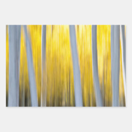 Hoja De Papel De Regalo Muchos árboles de Aspen