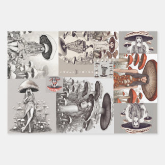 Hoja De Papel De Regalo Mushroom Vogue Lady