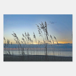 Hoja De Papel De Regalo Myrtle Beach Grass Sunrise Photo