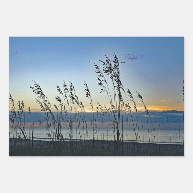 Hoja De Papel De Regalo Myrtle Beach Grass Sunrise Photo