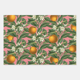 Hoja De Papel De Regalo Naranja Botánico Vintage Blossom Fruta Rosa