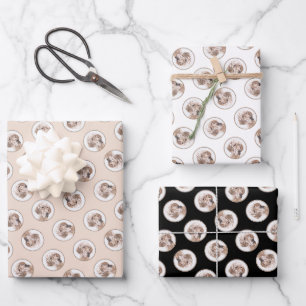 Hoja De Papel De Regalo Naranja de Inglaterra Belton Pintura Mascota Perro