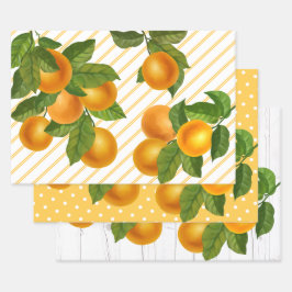 Hoja De Papel De Regalo Naranjas de cítricos frescos acuarela rústica de c