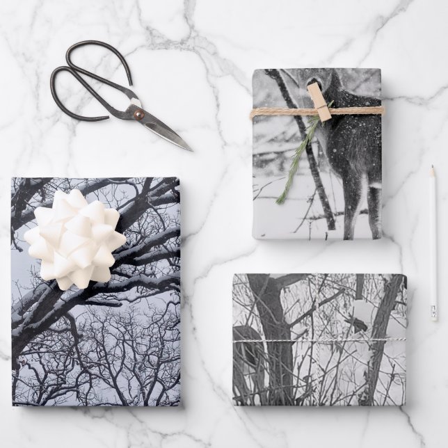 Hoja De Papel De Regalo Naturaleza blanca negra del invierno (Anverso)