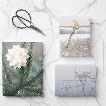 Naturaleza de invierno, conjunto de 3 fotos de art