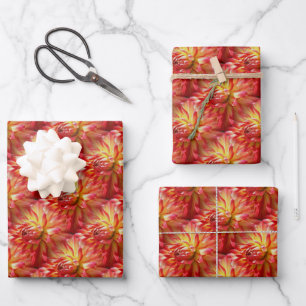 Hoja De Papel De Regalo Naturaleza del patrón de flores de Dahlia roja