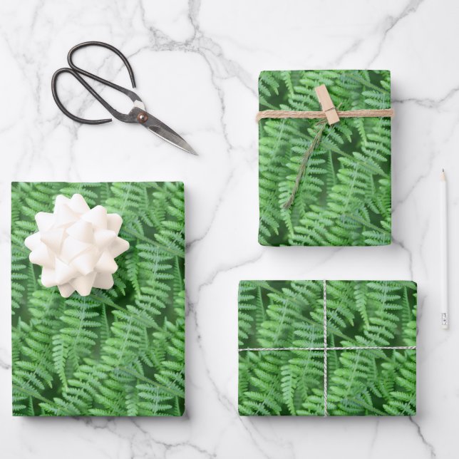 Hoja De Papel De Regalo Naturaleza del patrón de los ferrocarriles de bosq (Anverso)