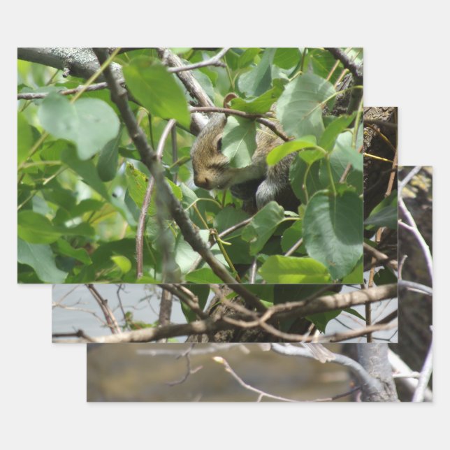 Hoja De Papel De Regalo Nature Critters Wrapping Paper Sheets (Set)