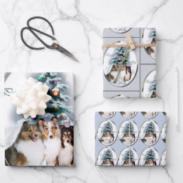 Hoja De Papel De Regalo Navidades de Shetland Sheepdog Sheltie
